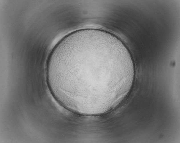 X0000110761430200907061044