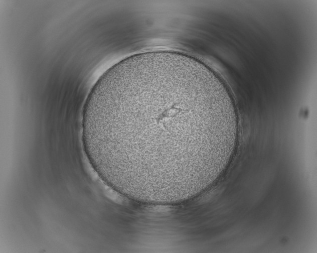 X0000110761431200907061044