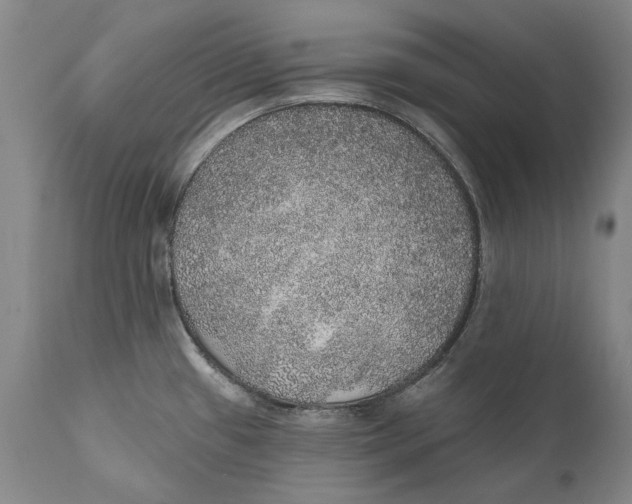 X0000110761433200907061044