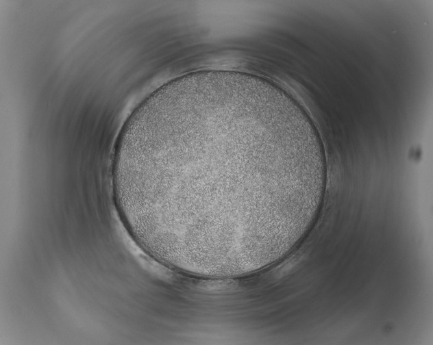 X0000110761434200907061044