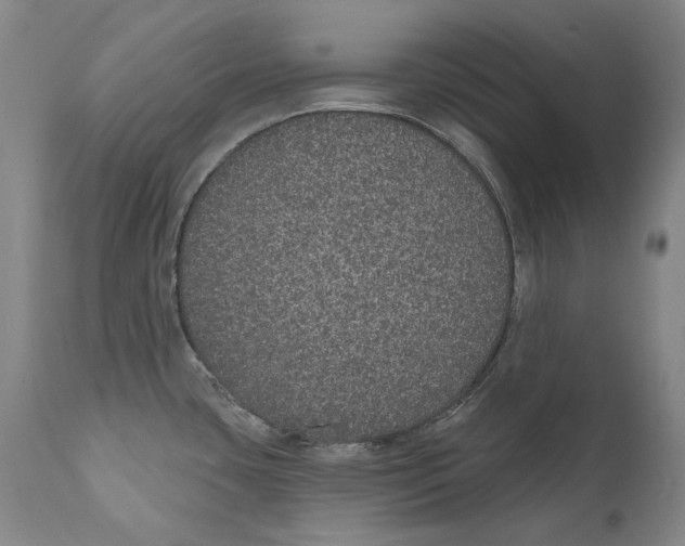 X0000110761435200907061044