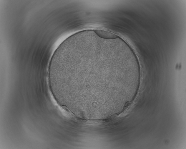 X0000110761440200907061044
