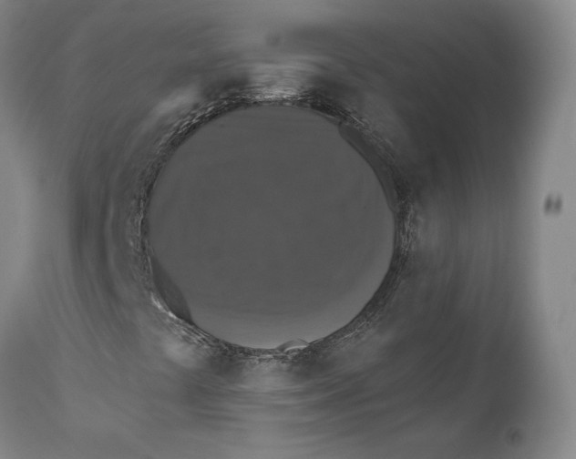 X0000110761441200907061043