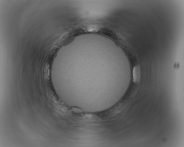 X0000110761443200907061043