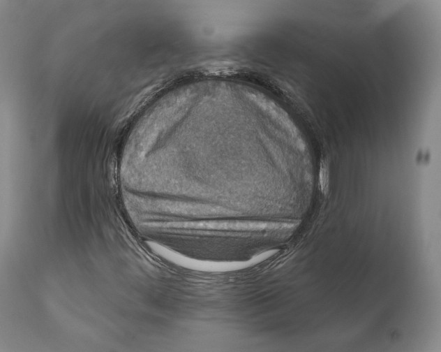 X0000110761444200907061043