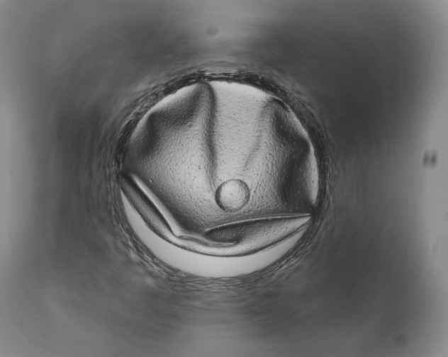 X0000110761445200907061043