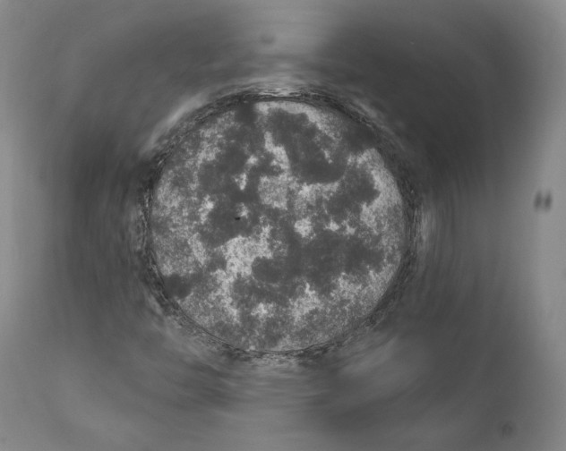 X0000110761446200907061043