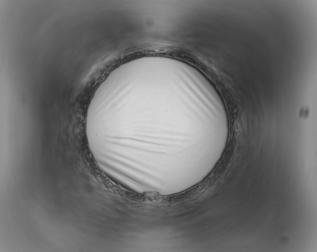 X0000110761447200907061043