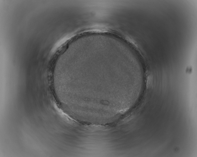 X0000110761448200907061043