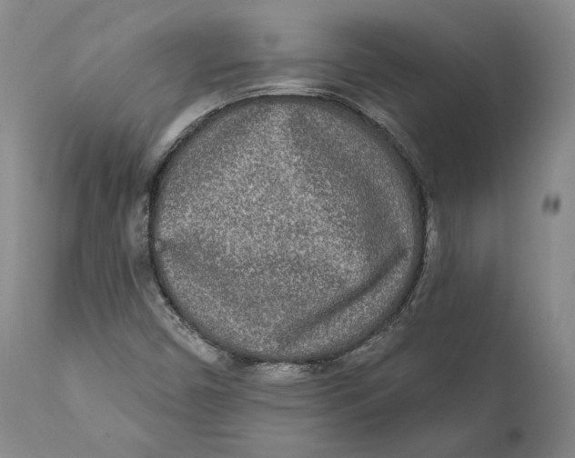 X0000110761450200907061043