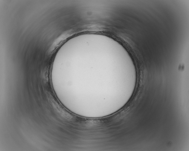 X0000110761451200907061043