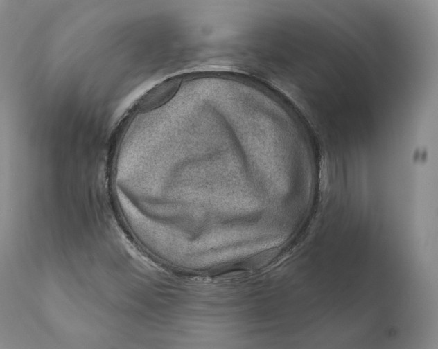 X0000110761452200907061043