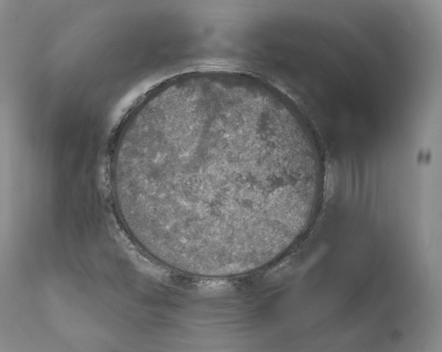 X0000110761454200907061043
