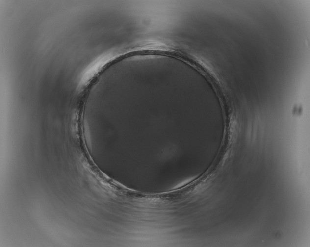 X0000110761455200907061043
