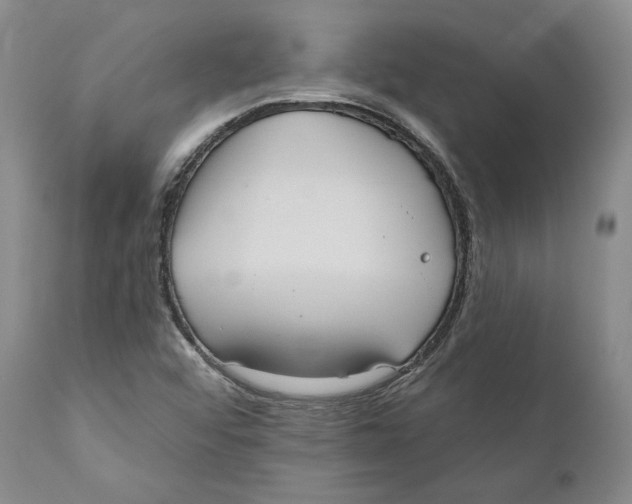 X0000110761456200907061043