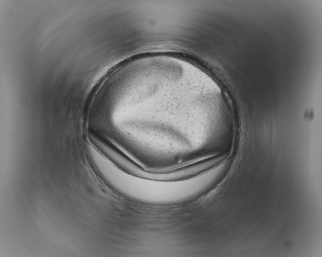 X0000110761457200907061043