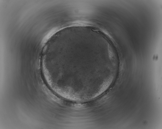 X0000110761459200907061043
