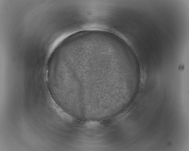 X0000110761462200907061043