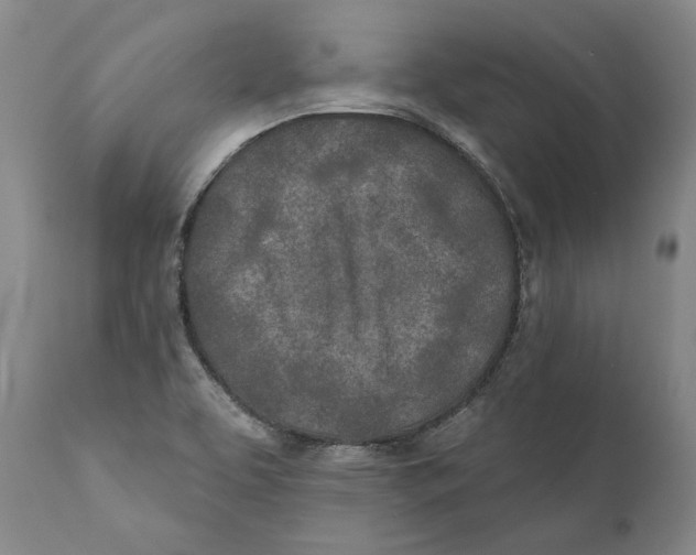 X0000110761463200907061043