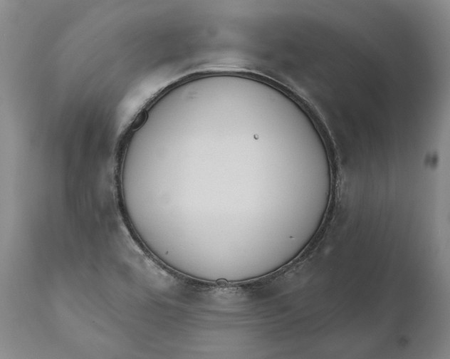 X0000110761464200907061043