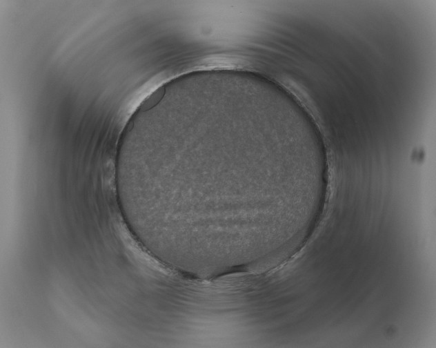 X0000110761465200907061043