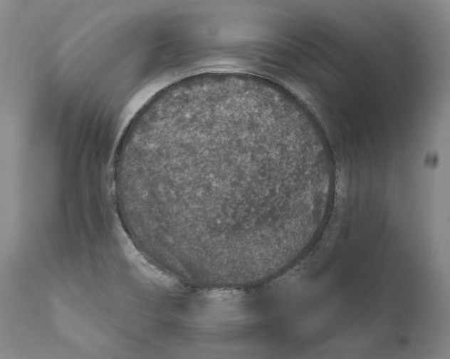 X0000110761466200907061043