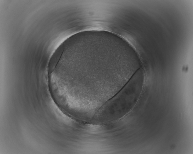 X0000110761468200907061043