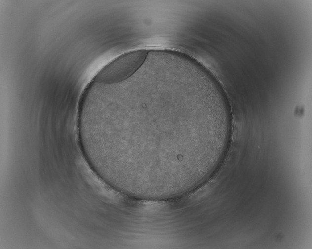 X0000110761469200907061043