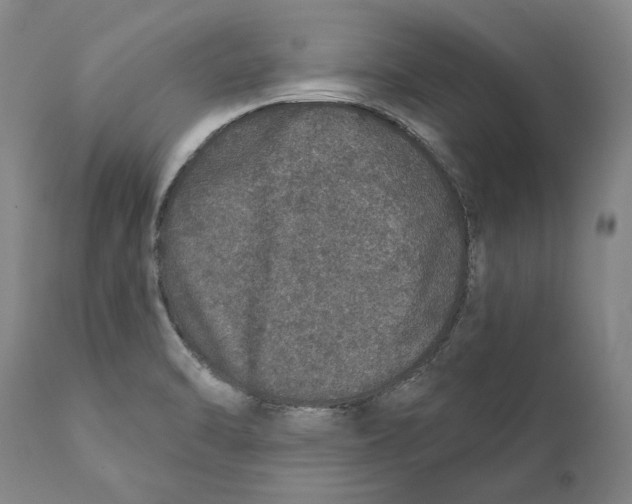 X0000110761470200907061043