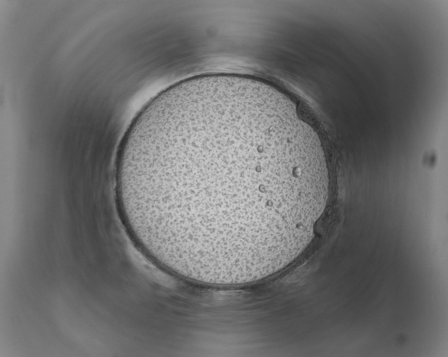 X0000110761471200907061042