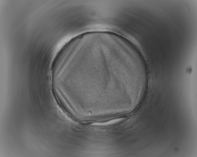 X0000110761472200907061042