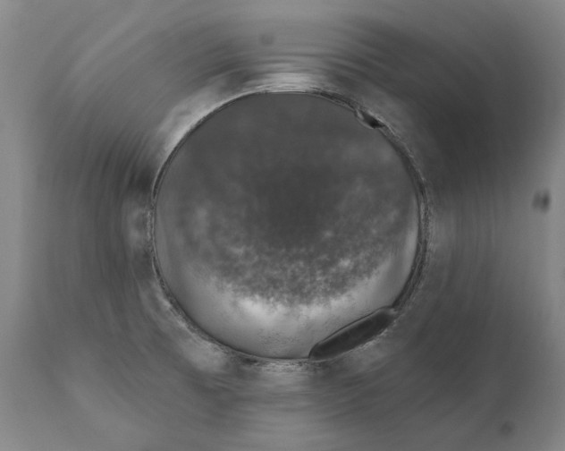 X0000110761473200907061042