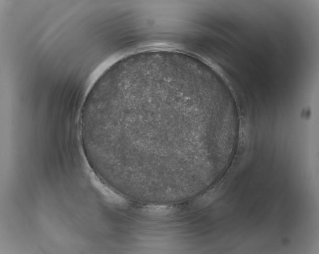 X0000110761474200907061042