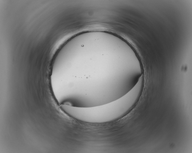 X0000110761477200907061042