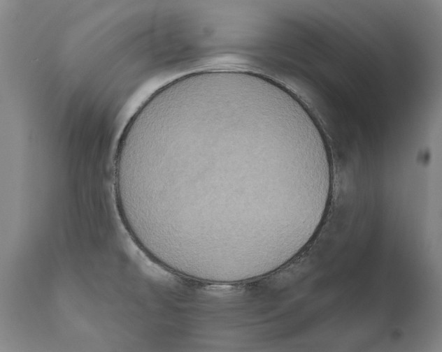 X0000110761478200907061042