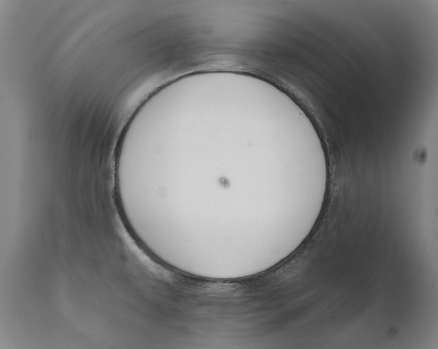 X0000110761479200907061042
