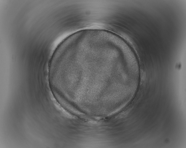 X0000110761480200907061042