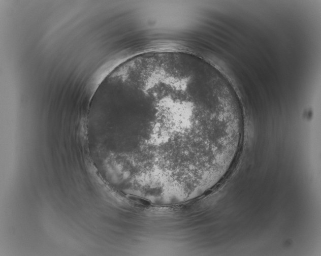 X0000110761481200907061042