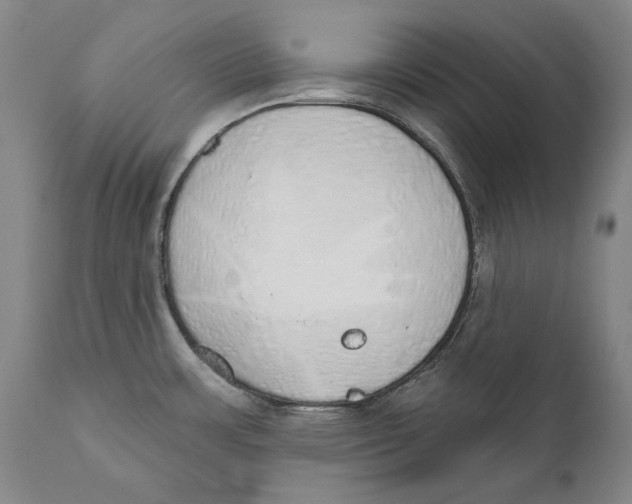 X0000110761483200907061042
