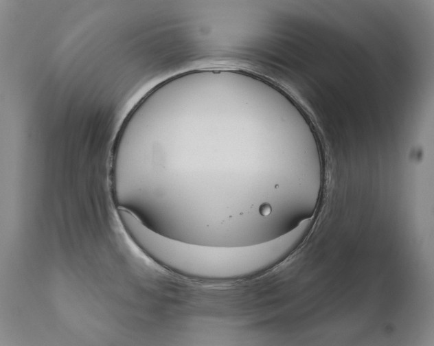 X0000110761484200907061042