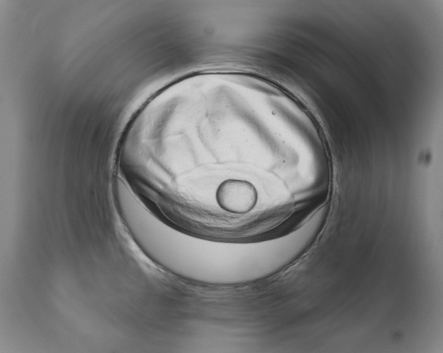 X0000110761485200907061042