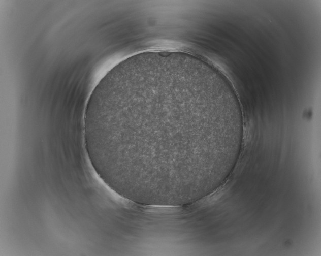 X0000110761487200907061042