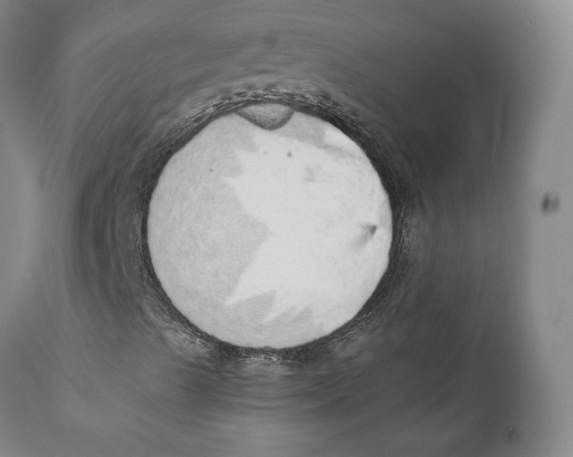 X0000110761489200907061041