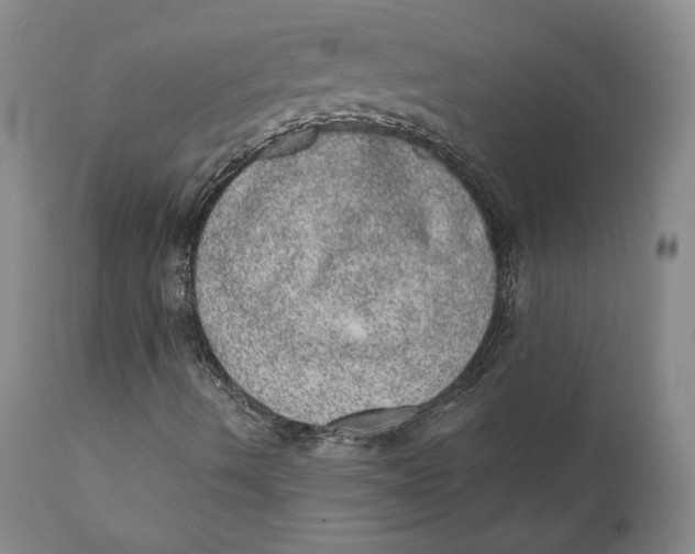 X0000110761490200907061041