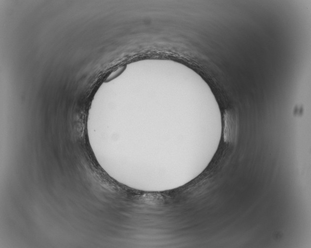 X0000110761491200907061041