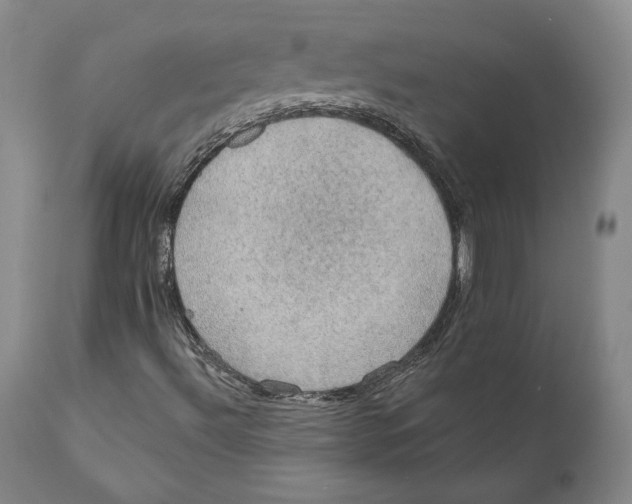 X0000110761492200907061041