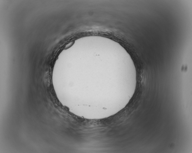 X0000110761493200907061041