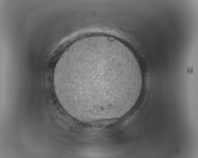 X0000110761494200907061041