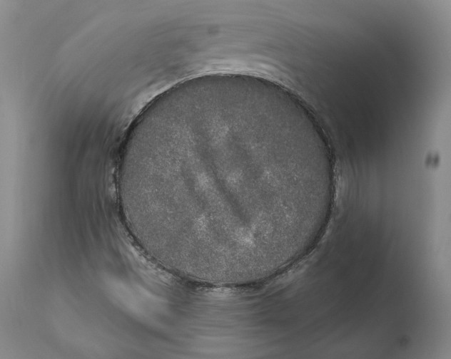 X0000110761497200907061041