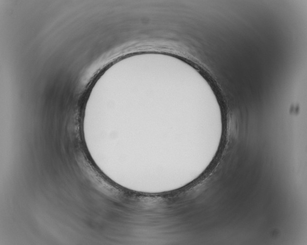 X0000110761498200907061041
